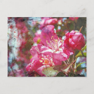Postal Flores de arce