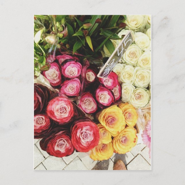 Postal Flores de arco iris de Copenhague (Anverso)