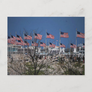 Postal Flores de banderas en terrenos de capital