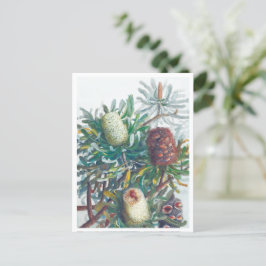 Postal Flores de Banksia | Ellis Rowan 1782