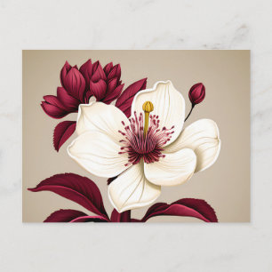 Postal Flores De Borgoña En Crema