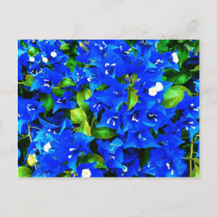 Postal Flores de buganvillas azules vibrantes
