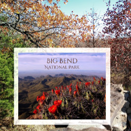 Postal Flores de cactus de la copa Claret brillante, Big 