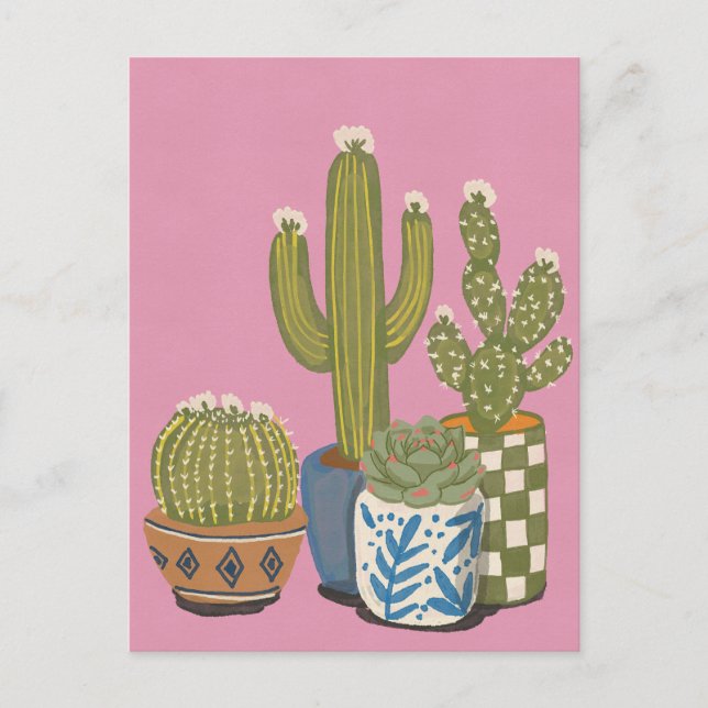 Postal Flores de Cactus Rosadas (Anverso)