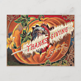 Postal Flores de Calabaza de Plumas de Pavo