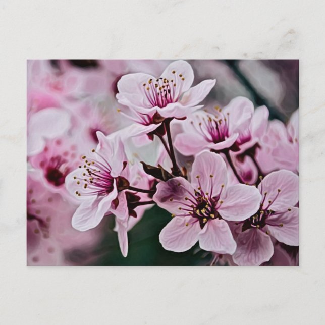 Postal Flores de cerezo (Anverso)