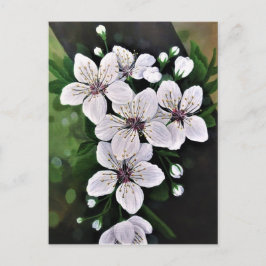 Postal Flores De Cerezo Blanco Arte En Acrílico