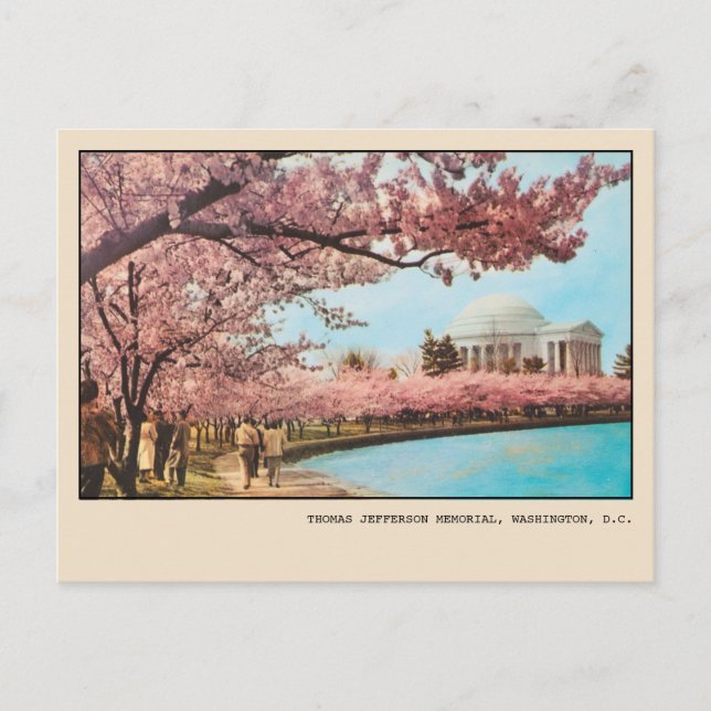 Postal Flores de cerezo del Monumento a Jefferson en Wash (Anverso)