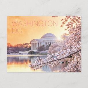 Postal Flores de cerezo del Monumento a Jefferson en Wash