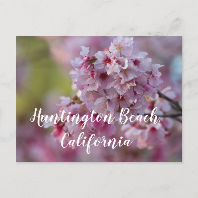 Postal Flores de cerezo en Huntington Beach, CA (Anverso)