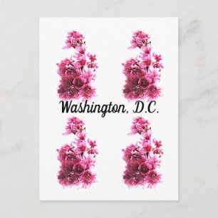Postal Flores de cerezo en Washington, D.C.