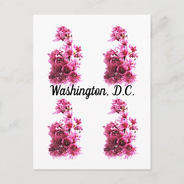 Postal Flores de cerezo en Washington, D.C. (Anverso)