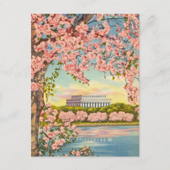 Postal Flores de cerezo en Washington D.C. (Anverso)