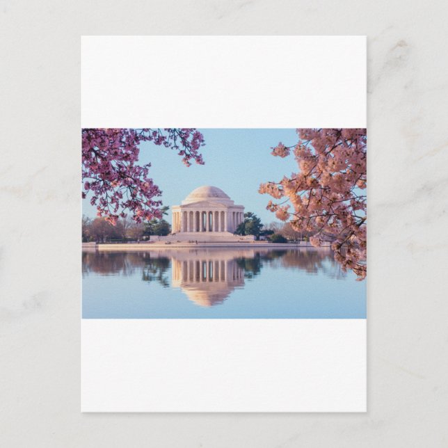 Postal Flores de cerezo en Washington DC (Anverso)