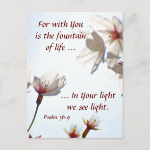 Postal Flores de cerezo retroiluminadas 2