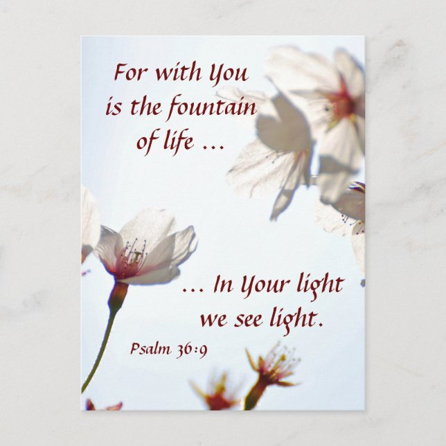 Postal Flores de cerezo retroiluminadas 2 (Anverso)