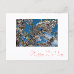 Postal flores de cerezo rosadas feliz cumpleaños