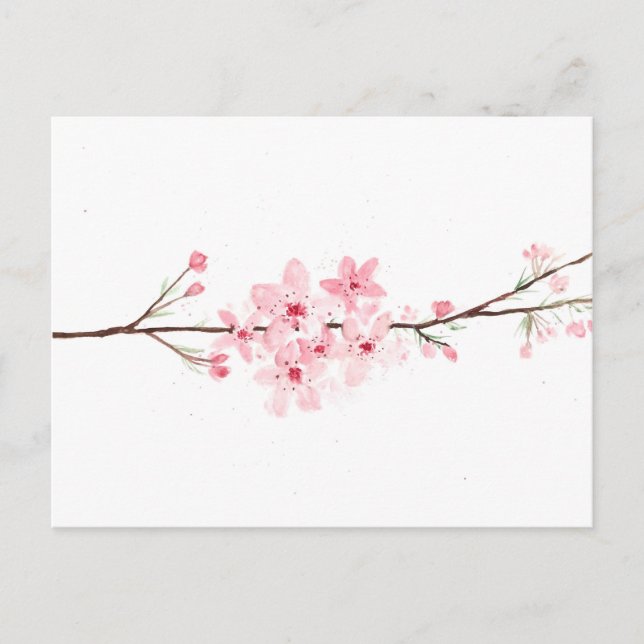 Postal Flores de cerezo sakura rosa japonés (Anverso)