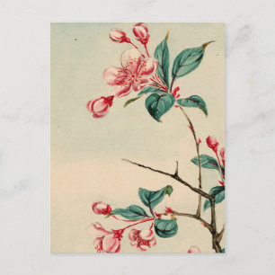 Postal Flores de ciruela de árbol 2012 Postcard del calen
