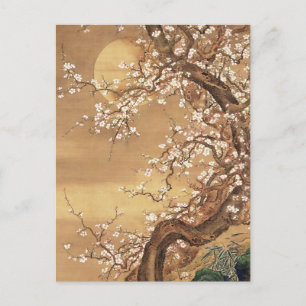 Postal Flores de ciruelas antiguas japonesas a la luz de