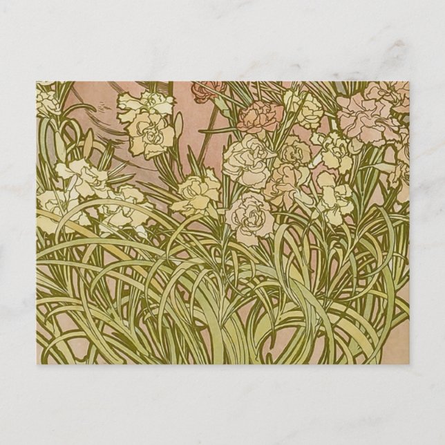 Postal Flores de clavel floral Art Nouveau Alfonse Mucha (Anverso)