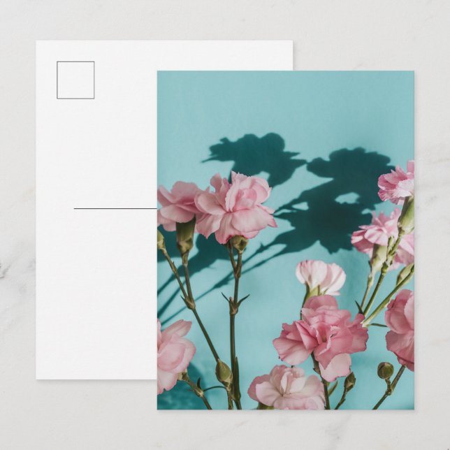 Postal Flores de clavel rosa soñadoras sobre fondo azul (Anverso / Reverso)