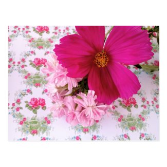 Postal Flores de color rosa y fucsia, flor de 8 pétalos