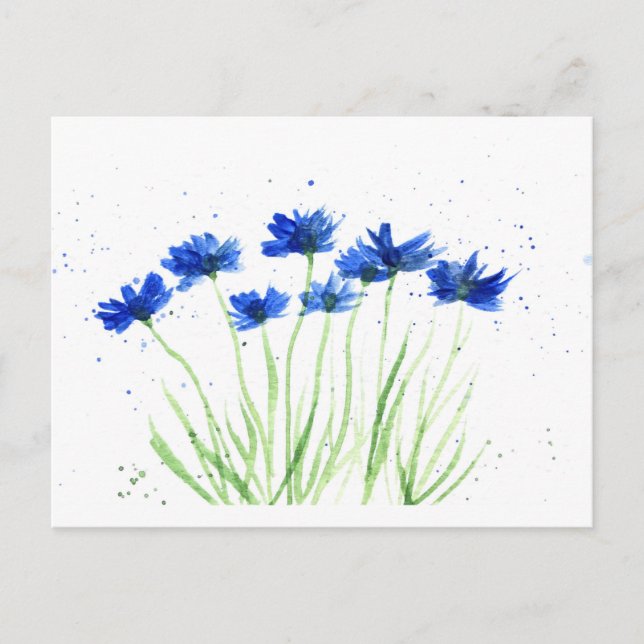 Postal Flores de cornflores (Anverso)