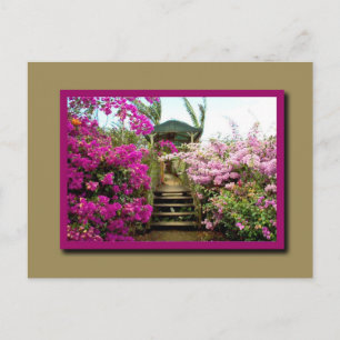 Postal Flores de Costa Rica 01