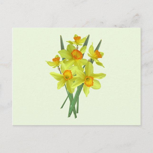 Postal Flores de Daffodil Amarillas (Anverso)