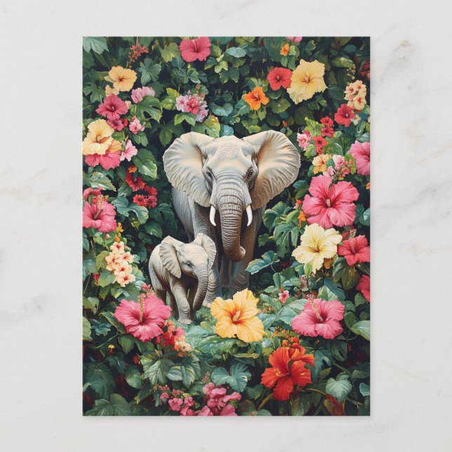Postal Flores de elefante y ternera hibiscus (Anverso)