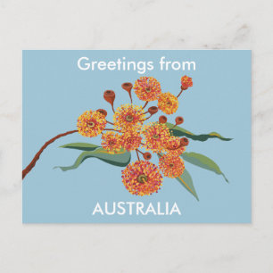 Postal Flores de encía de Australia