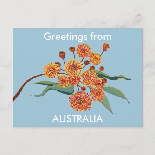 Postal Flores de encía de Australia (Anverso)