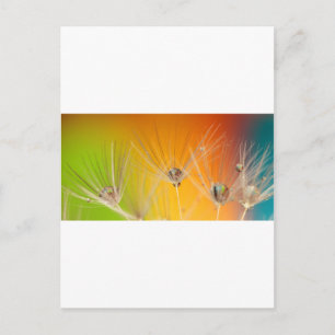 Postal Flores de flores de flores de Dandelion destruyen