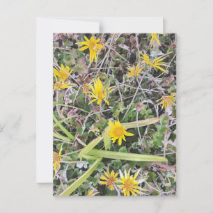 Postal Flores de flores naturales amarillas brillantes en