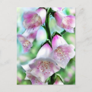 Postal Flores de Foxglove Flor Floral Púrpura Verde