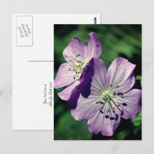 Postal Flores de Geranio Lavanda Personalizadas