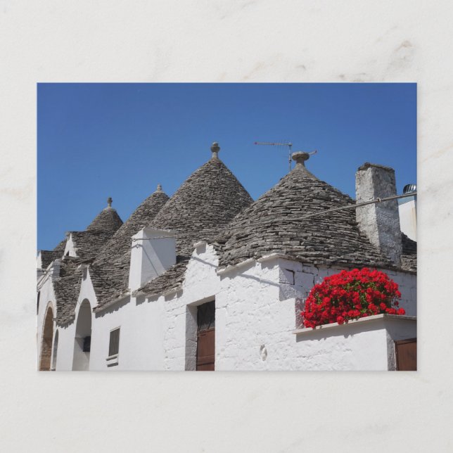 Postal Flores de geranio y casas de trullos en Alberobell (Anverso)