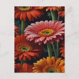 Postal flores de gerbera
