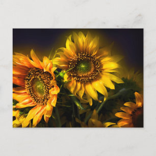 Postal Flores de girasoles amarillos florales, amor, grac