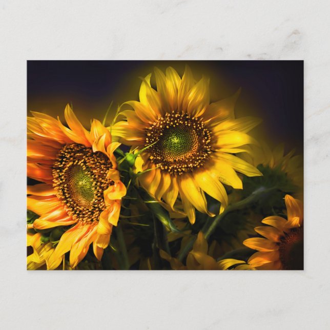Postal Flores de girasoles amarillos florales, amor, grac (Anverso)
