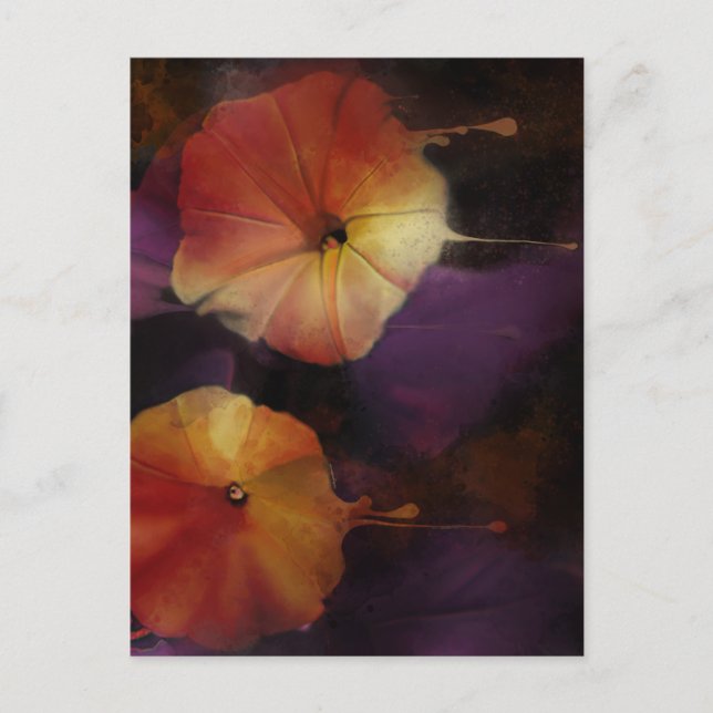 Postal Flores de gloria matutina (Anverso)