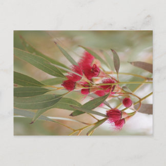 Postal Flores de goma