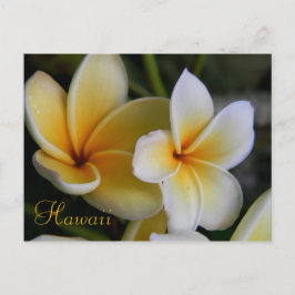 Postal Flores de Hawái
