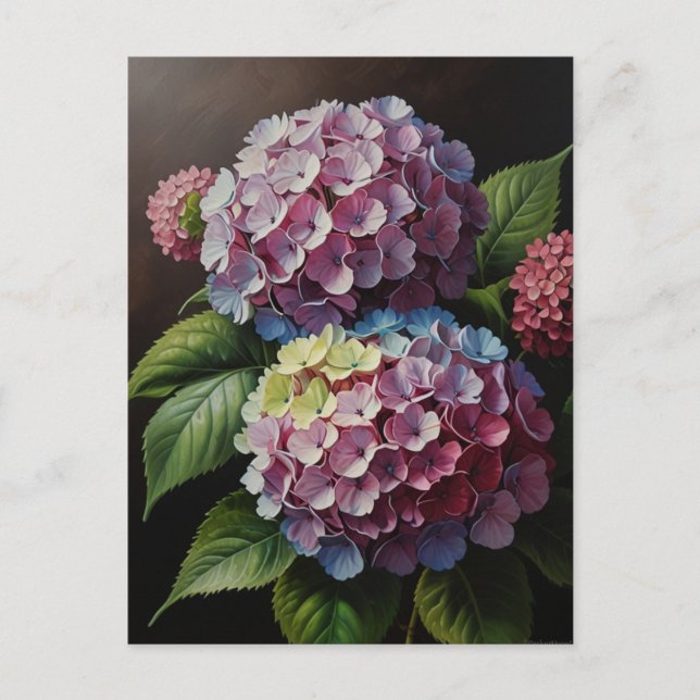 Postal Flores de hortensia (Anverso)