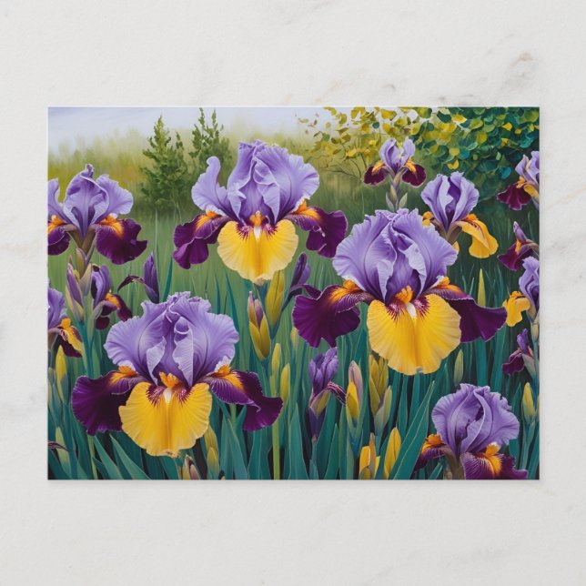Postal Flores de Iris Amarillo Púrpura en Flor (Anverso)