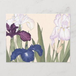 Postal Flores de iris morado de arte floral japonesa vint