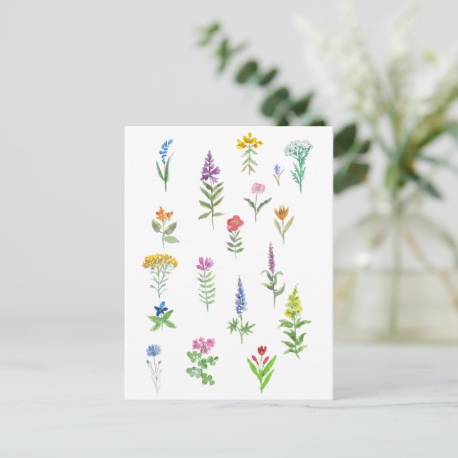 Postal flores de jardín (Anverso de pie)