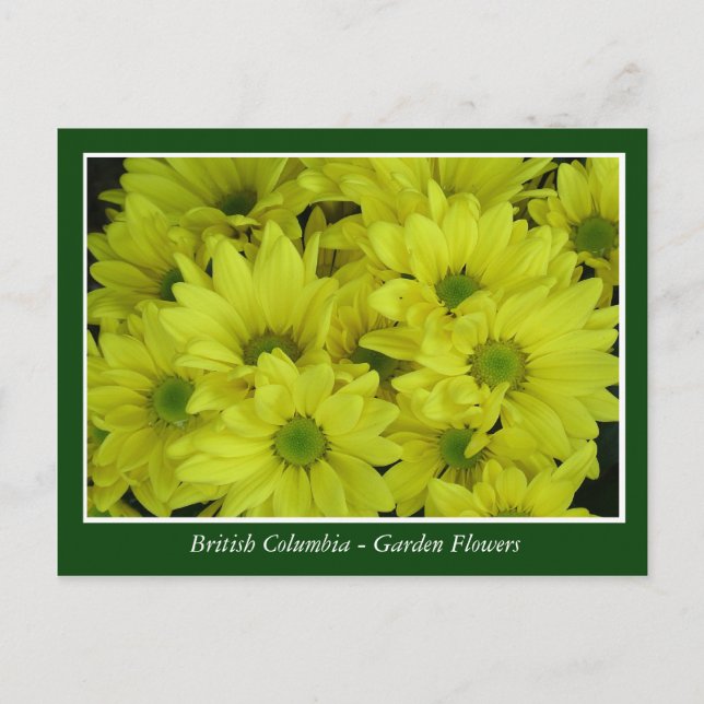 Postal flores de jardín BC (Anverso)