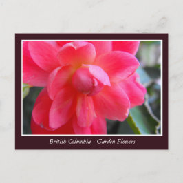 Postal flores de jardín BC